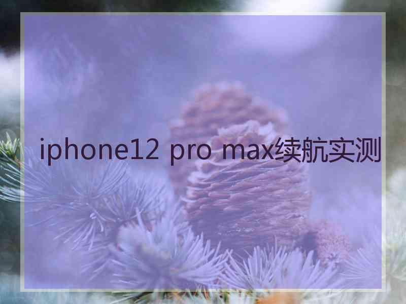 iphone12 pro max续航实测