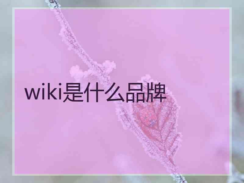 wiki是什么品牌