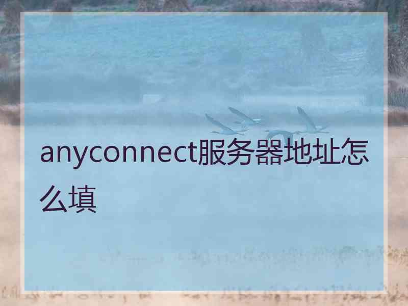 anyconnect服务器地址怎么填