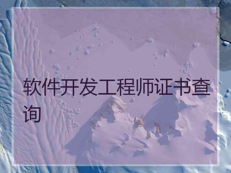 软件开发工程师证书查询