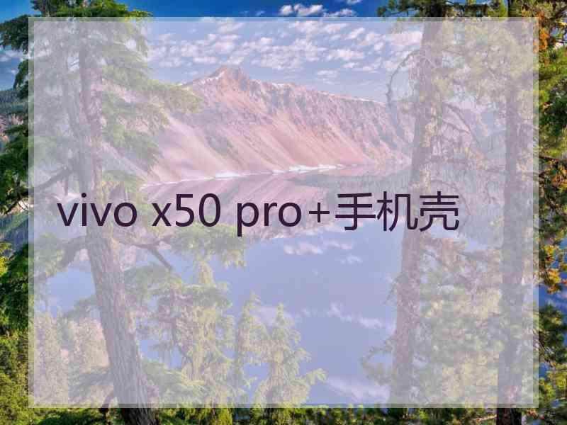 vivo x50 pro+手机壳