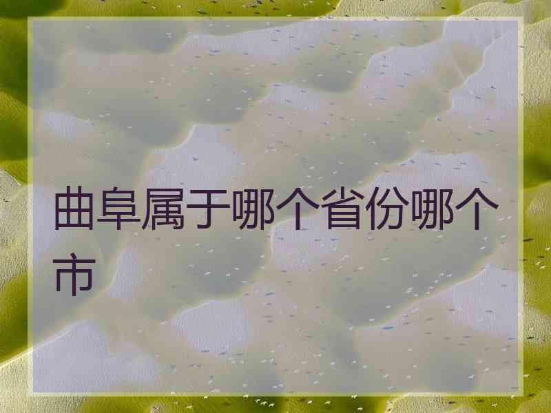 曲阜属于哪个省份哪个市