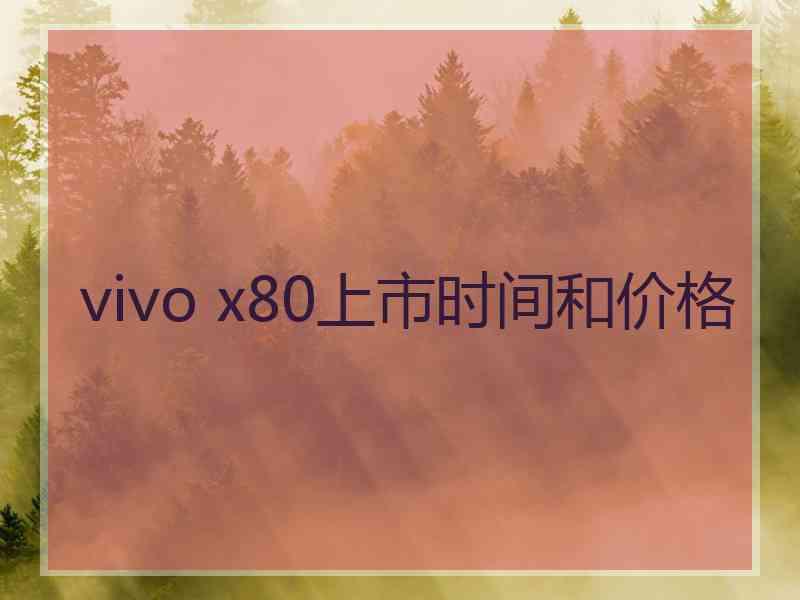 vivo x80上市时间和价格