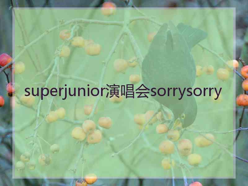 superjunior演唱会sorrysorry