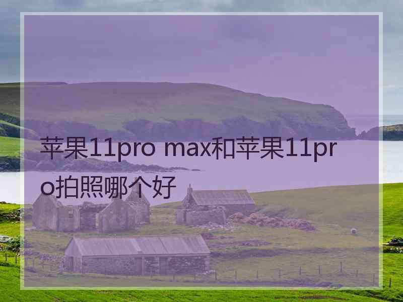 苹果11pro max和苹果11pro拍照哪个好