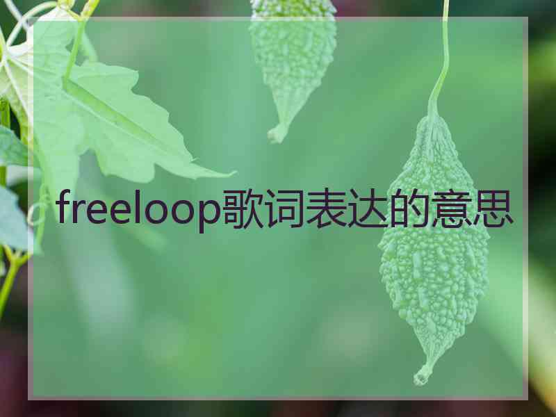 freeloop歌词表达的意思