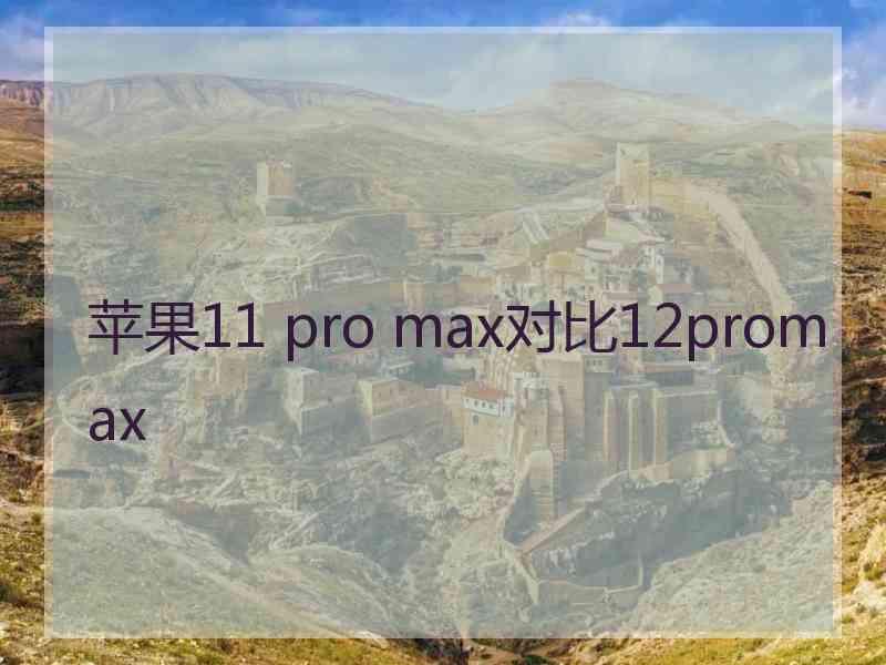 苹果11 pro max对比12promax