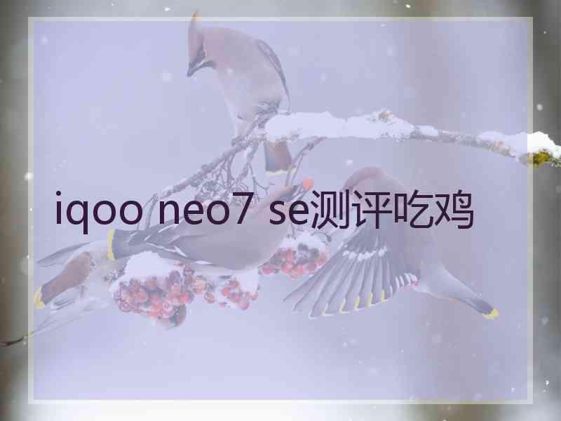 iqoo neo7 se测评吃鸡