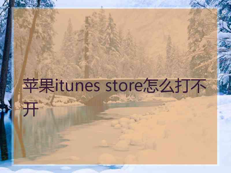 苹果itunes store怎么打不开