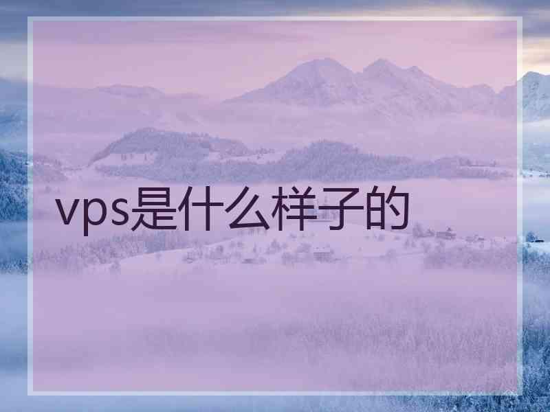 vps是什么样子的