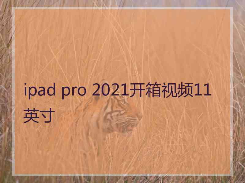 ipad pro 2021开箱视频11英寸