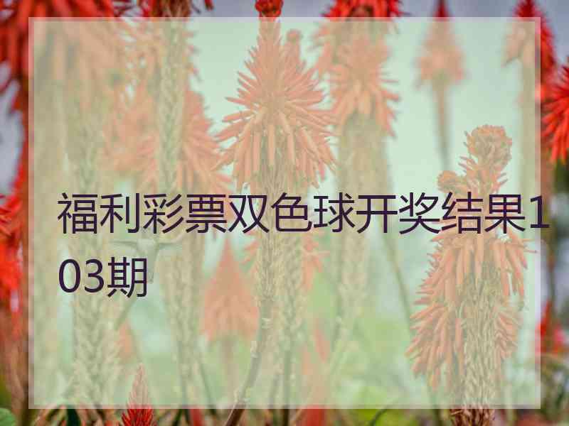 福利彩票双色球开奖结果103期