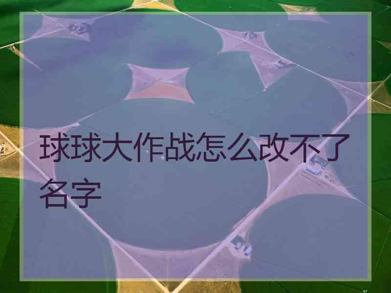 球球大作战怎么改不了名字