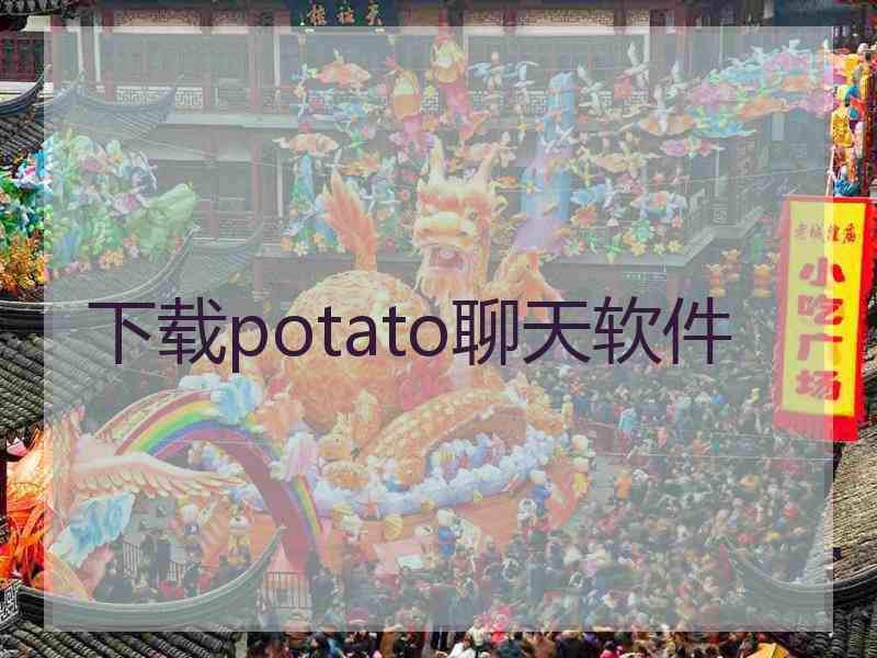 下载potato聊天软件