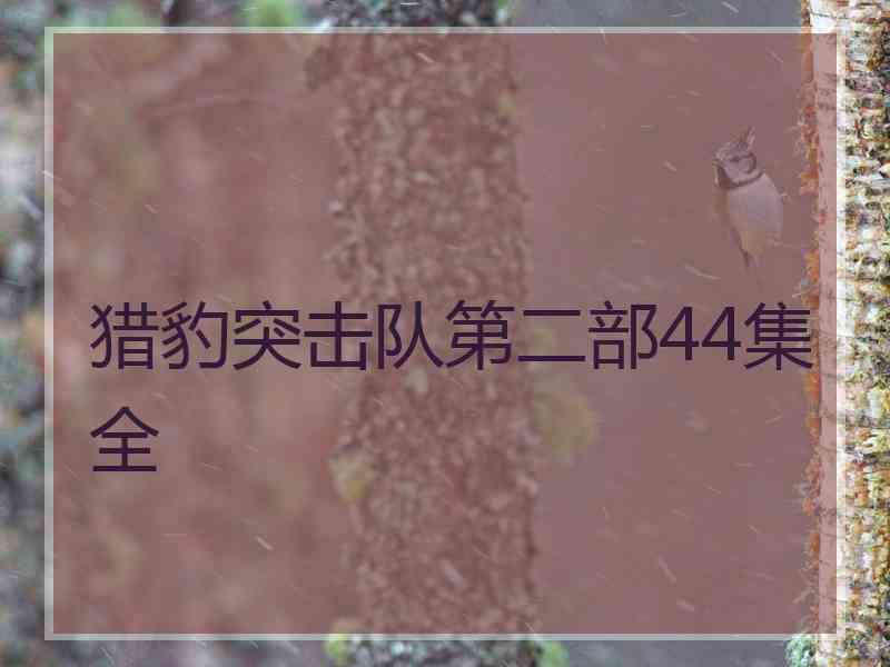 猎豹突击队第二部44集全