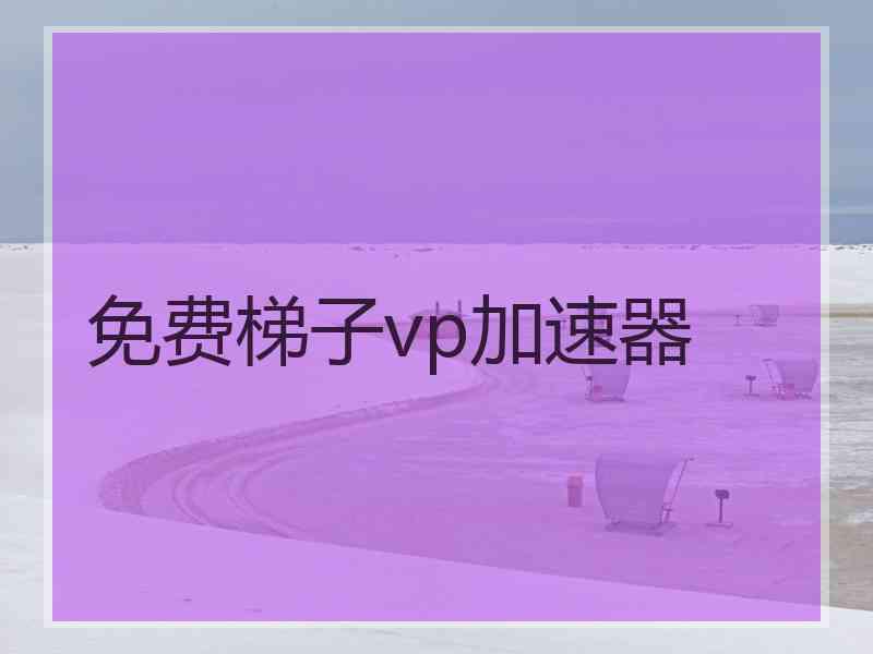 免费梯子vp加速器