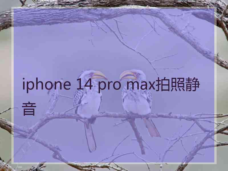 iphone 14 pro max拍照静音