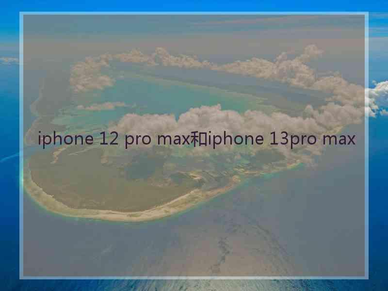 iphone 12 pro max和iphone 13pro max