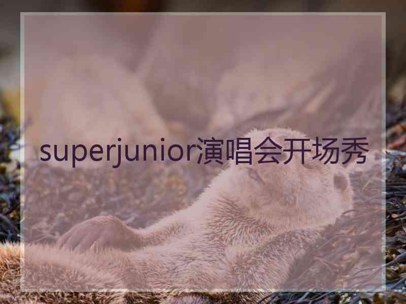 superjunior演唱会开场秀