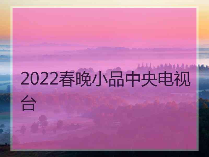 2022春晚小品中央电视台