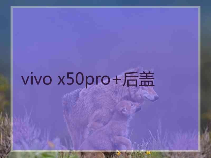 vivo x50pro+后盖