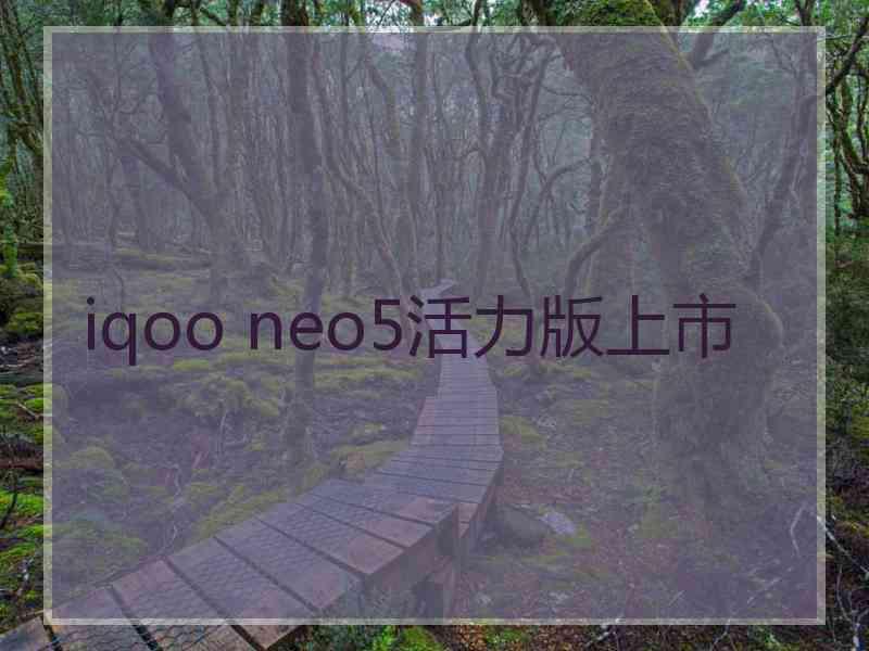 iqoo neo5活力版上市