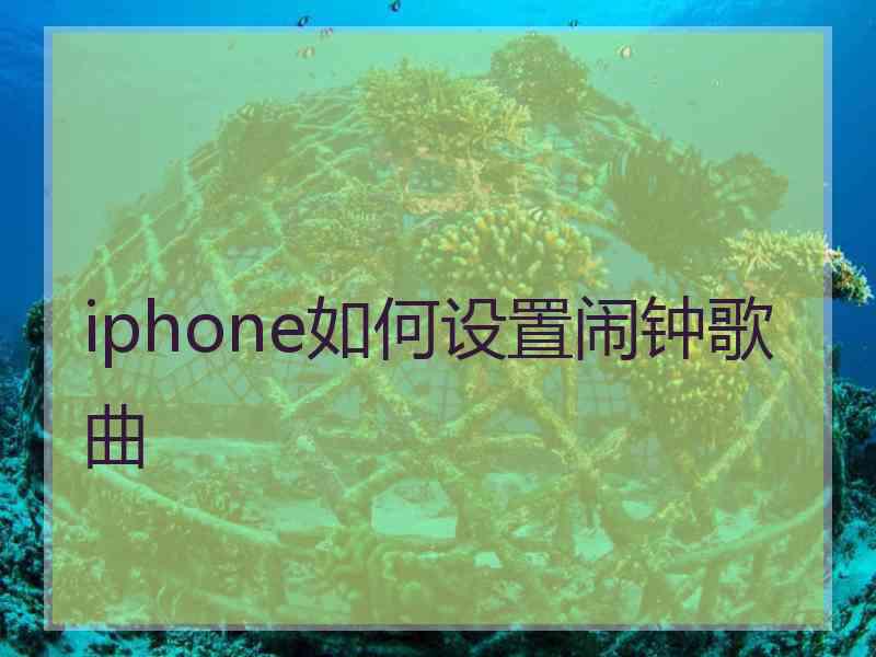 iphone如何设置闹钟歌曲