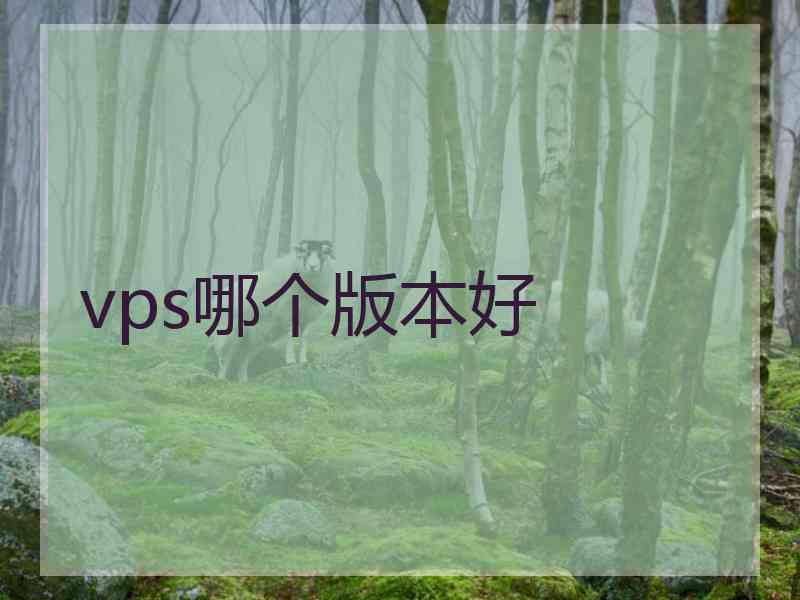 vps哪个版本好