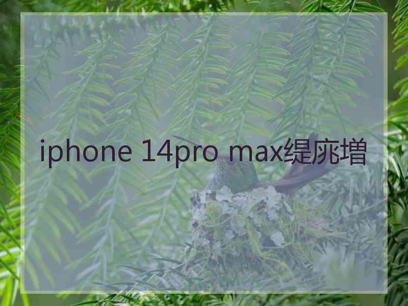 iphone 14pro max缇庣増