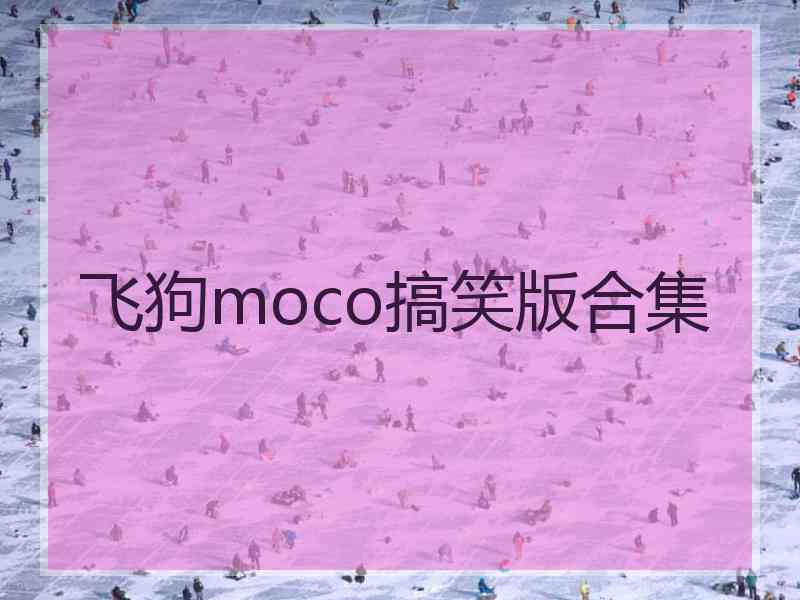 飞狗moco搞笑版合集