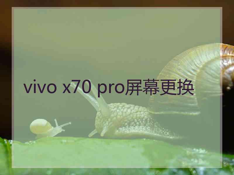 vivo x70 pro屏幕更换