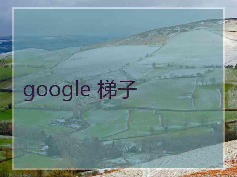 google 梯子