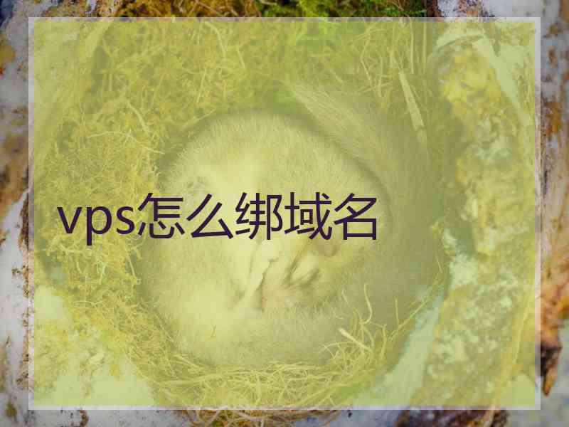 vps怎么绑域名