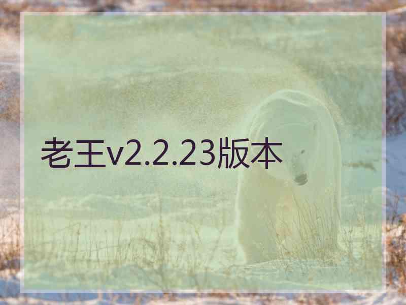 老王v2.2.23版本