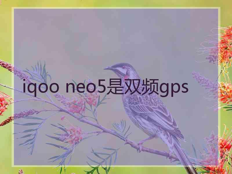 iqoo neo5是双频gps