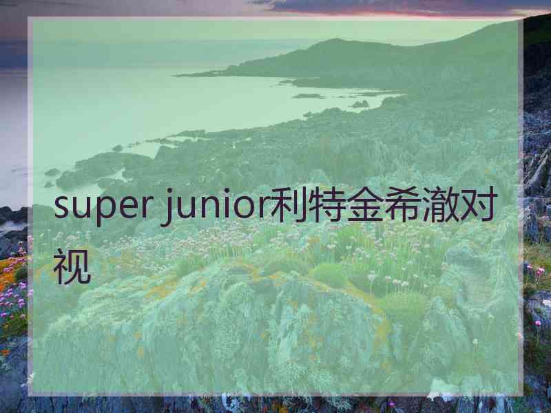 super junior利特金希澈对视