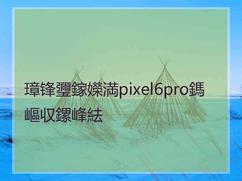 璋锋瓕鎵嬫満pixel6pro鎷嶇収鏍峰紶