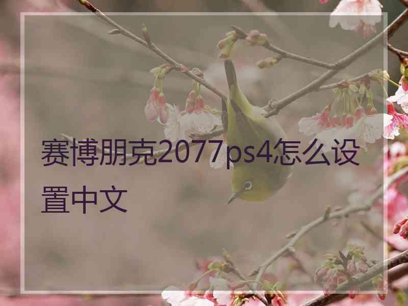 赛博朋克2077ps4怎么设置中文