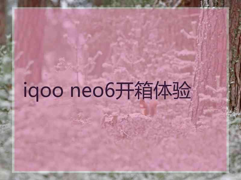 iqoo neo6开箱体验