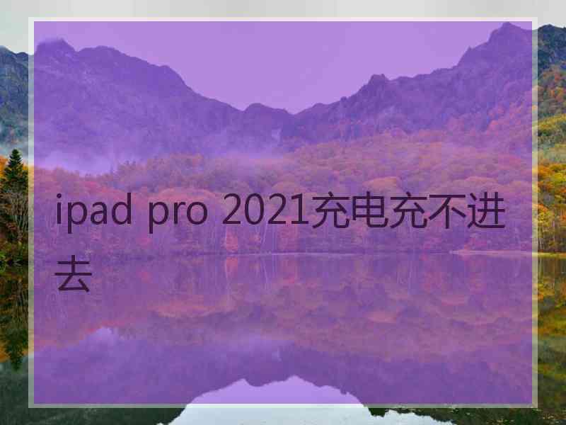 ipad pro 2021充电充不进去