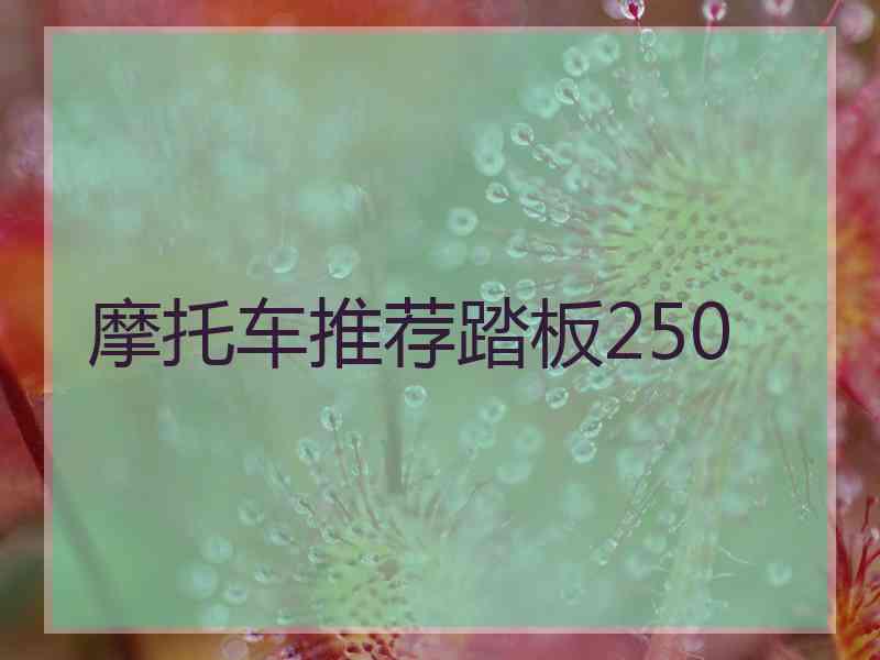 摩托车推荐踏板250