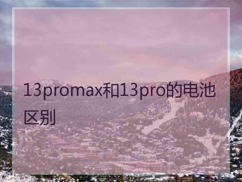 13promax和13pro的电池区别