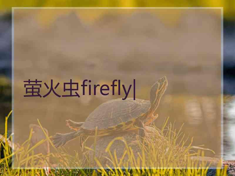 萤火虫firefly|