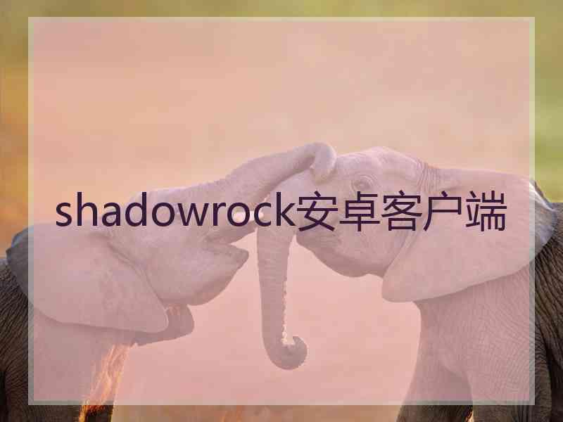 shadowrock安卓客户端