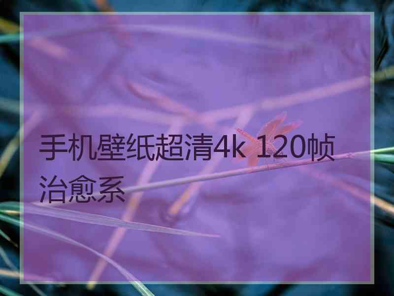 手机壁纸超清4k 120帧治愈系