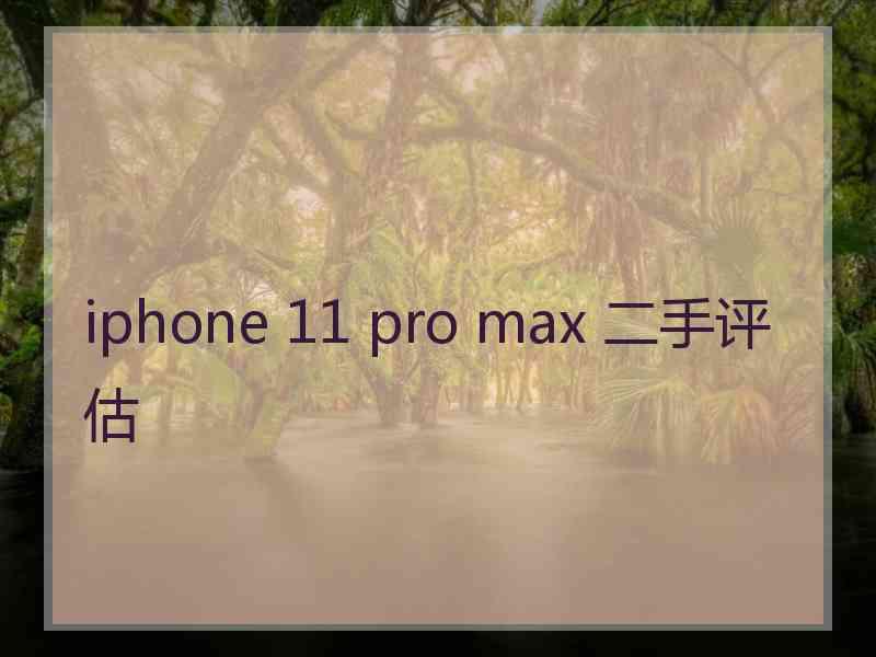 iphone 11 pro max 二手评估