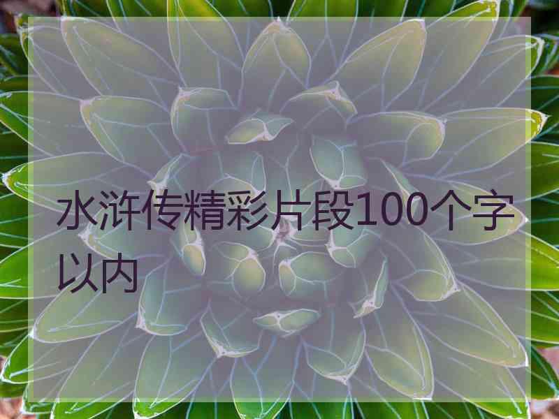 水浒传精彩片段100个字以内