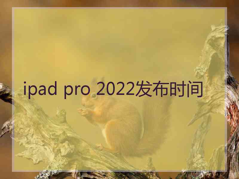 ipad pro 2022发布时间