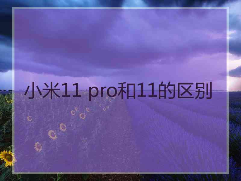 小米11 pro和11的区别