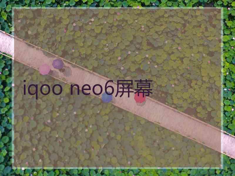 iqoo neo6屏幕